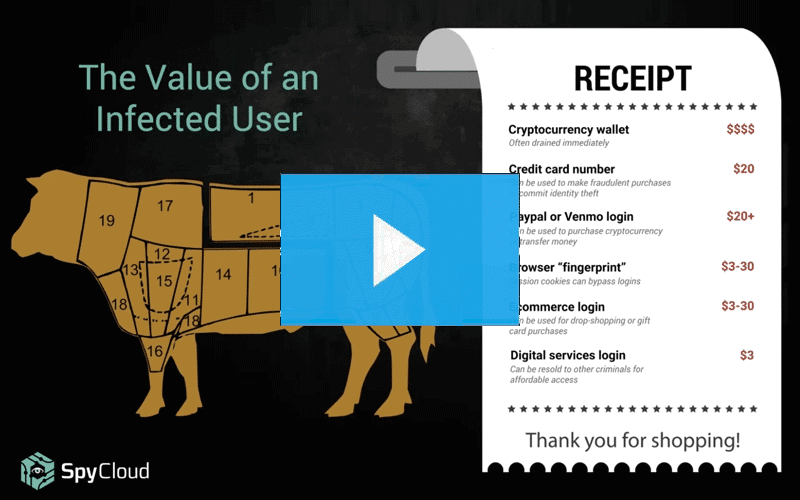 I Put a Keylogger On You, and Now You're Mine What Cybercriminals See When They Infect a Host with Malware