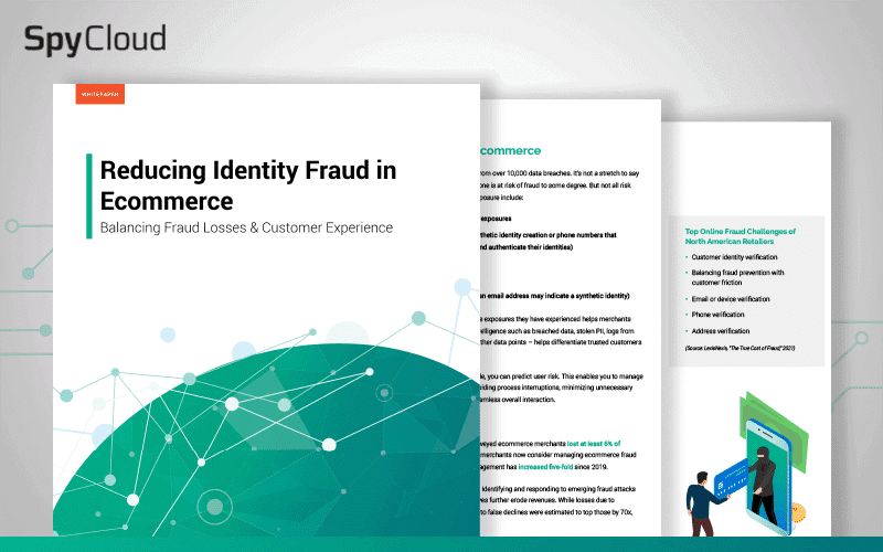 Reducing Identity Fraud in Ecommerce
