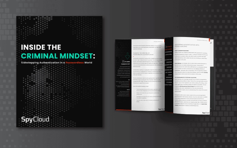 Inside the Criminal Mindset: Sidestepping Authentication in a Passwordless World