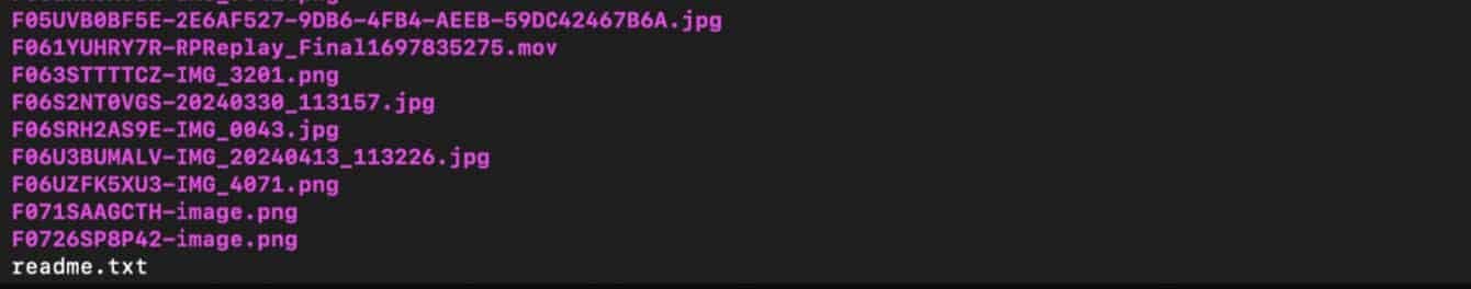 “Furry” Hackers Leak Data from Disney and The Heritage Foundation