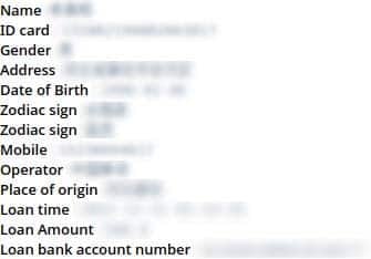 A Deep Dive Into the Intricate Chinese Cybercrime Ecosystem