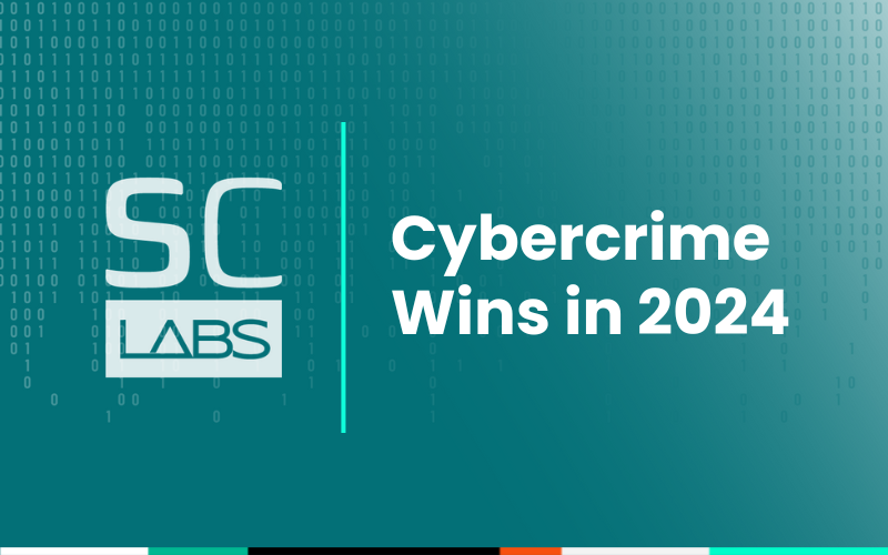 Cybercrime Wins in 2024: Major Takedowns & Arrests